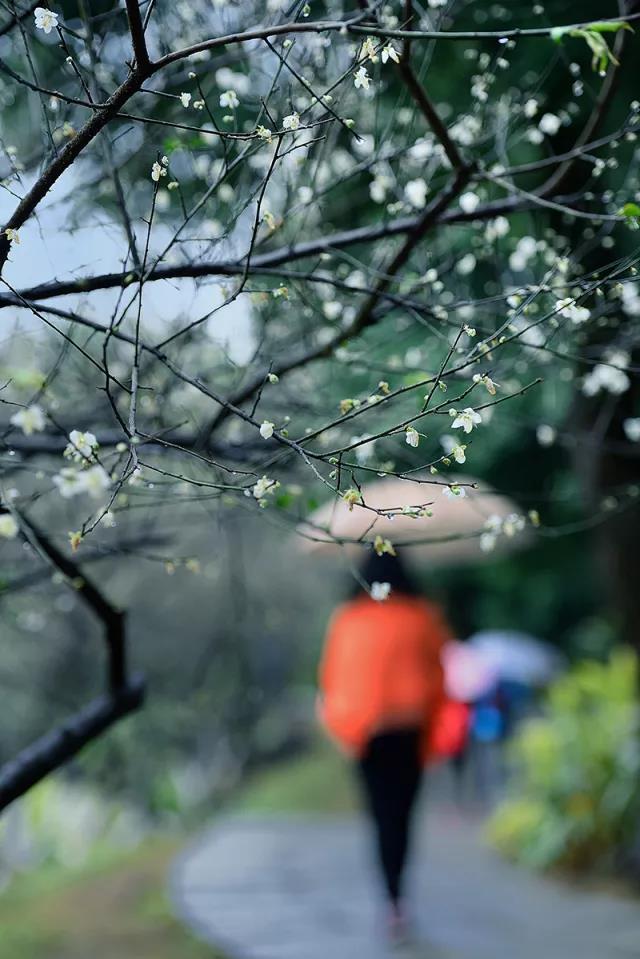 微信图片_20180314150034.jpg 微信图片_20180314150034.jpg