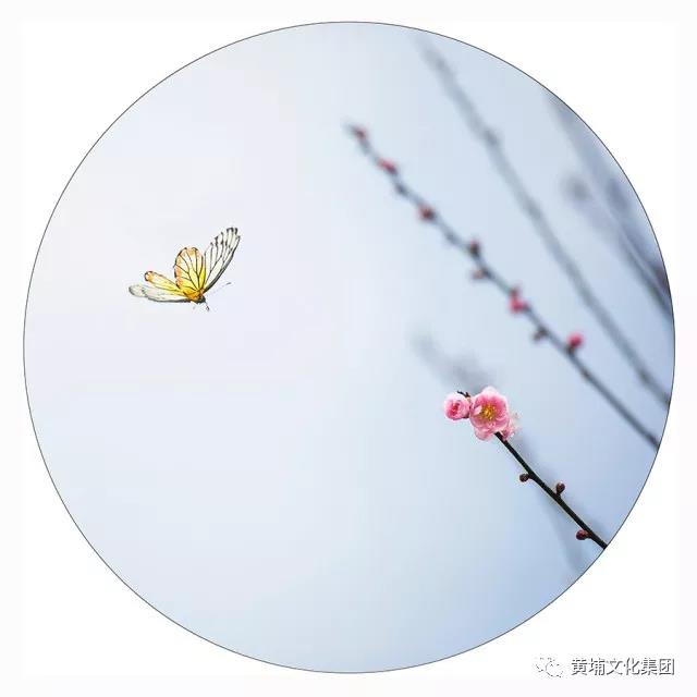 微信图片_20180314150250.jpg 微信图片_20180314150250.jpg