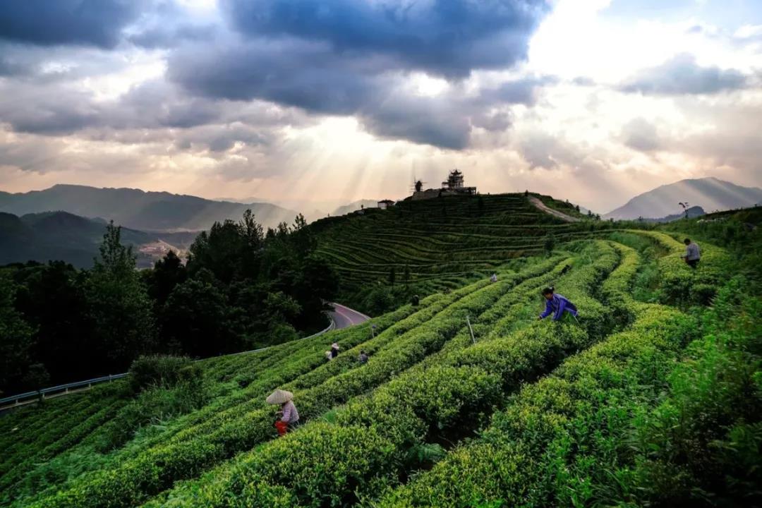 微信图片_20210624163645.jpg 微信图片_20210624163645.jpg