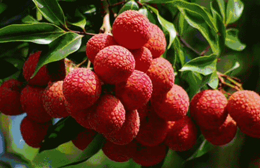 微信图片_20210625100056.gif 微信图片_20210625100056.gif