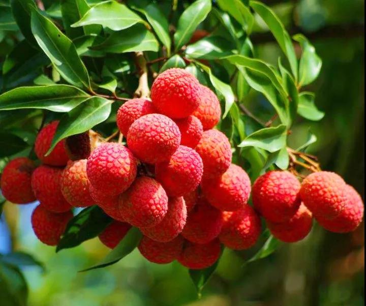 微信图片_20210625100443.jpg 微信图片_20210625100443.jpg