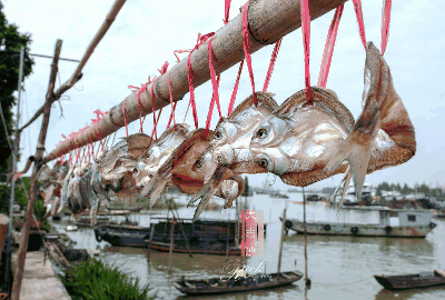 微信图片_20210625100713.gif 微信图片_20210625100713.gif