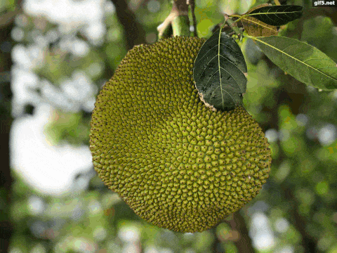 微信图片_20210625100847.gif 微信图片_20210625100847.gif