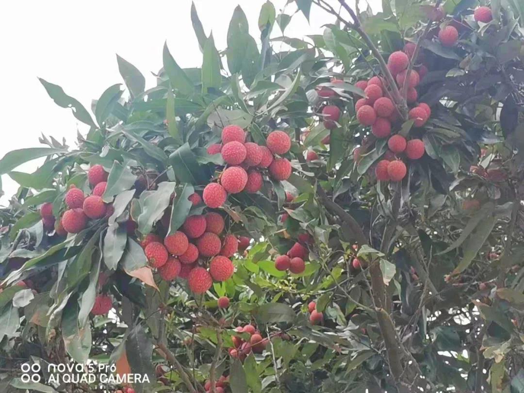 微信图片_20210625101133.jpg 微信图片_20210625101133.jpg