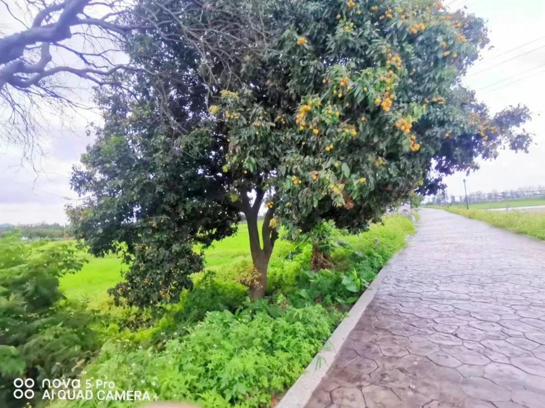 微信图片_20210625101104.jpg 微信图片_20210625101104.jpg