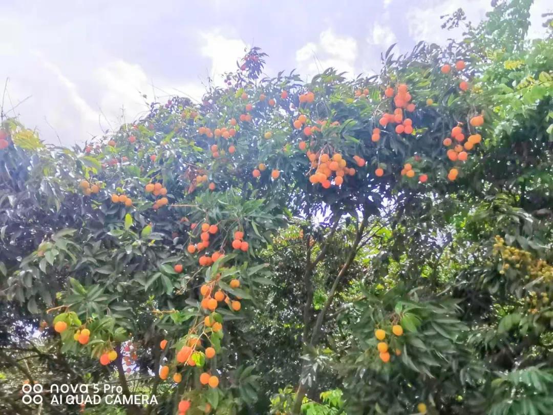 微信图片_20210625101112.jpg 微信图片_20210625101112.jpg