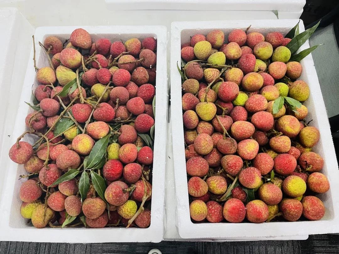 微信图片_20210625101359.jpg 微信图片_20210625101359.jpg