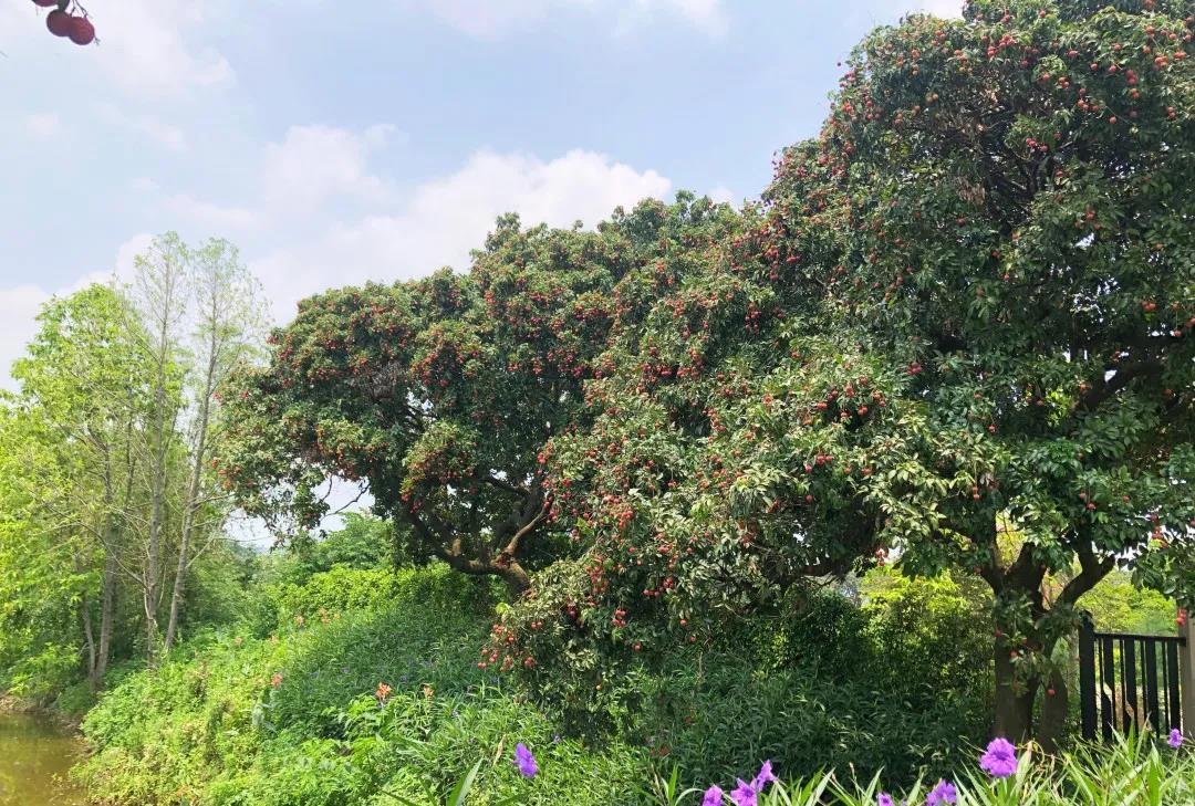 微信图片_20210625143659.jpg 微信图片_20210625143659.jpg