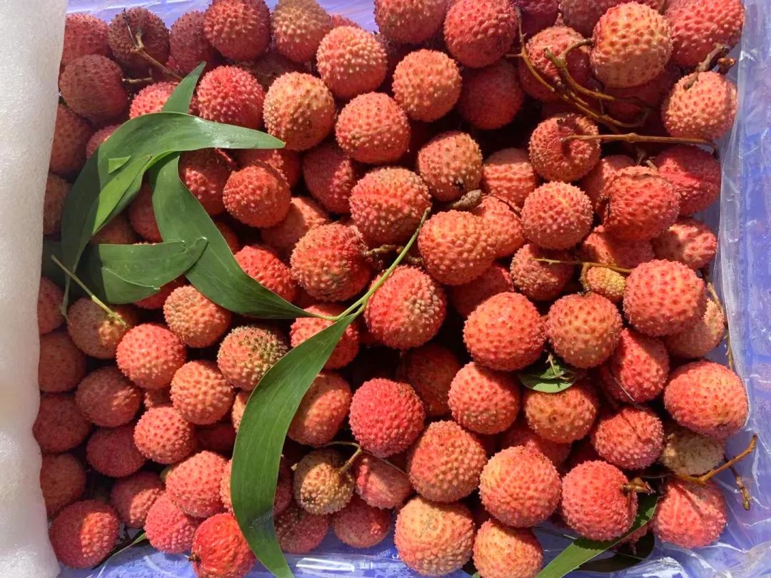 微信图片_20210625144014.jpg 微信图片_20210625144014.jpg