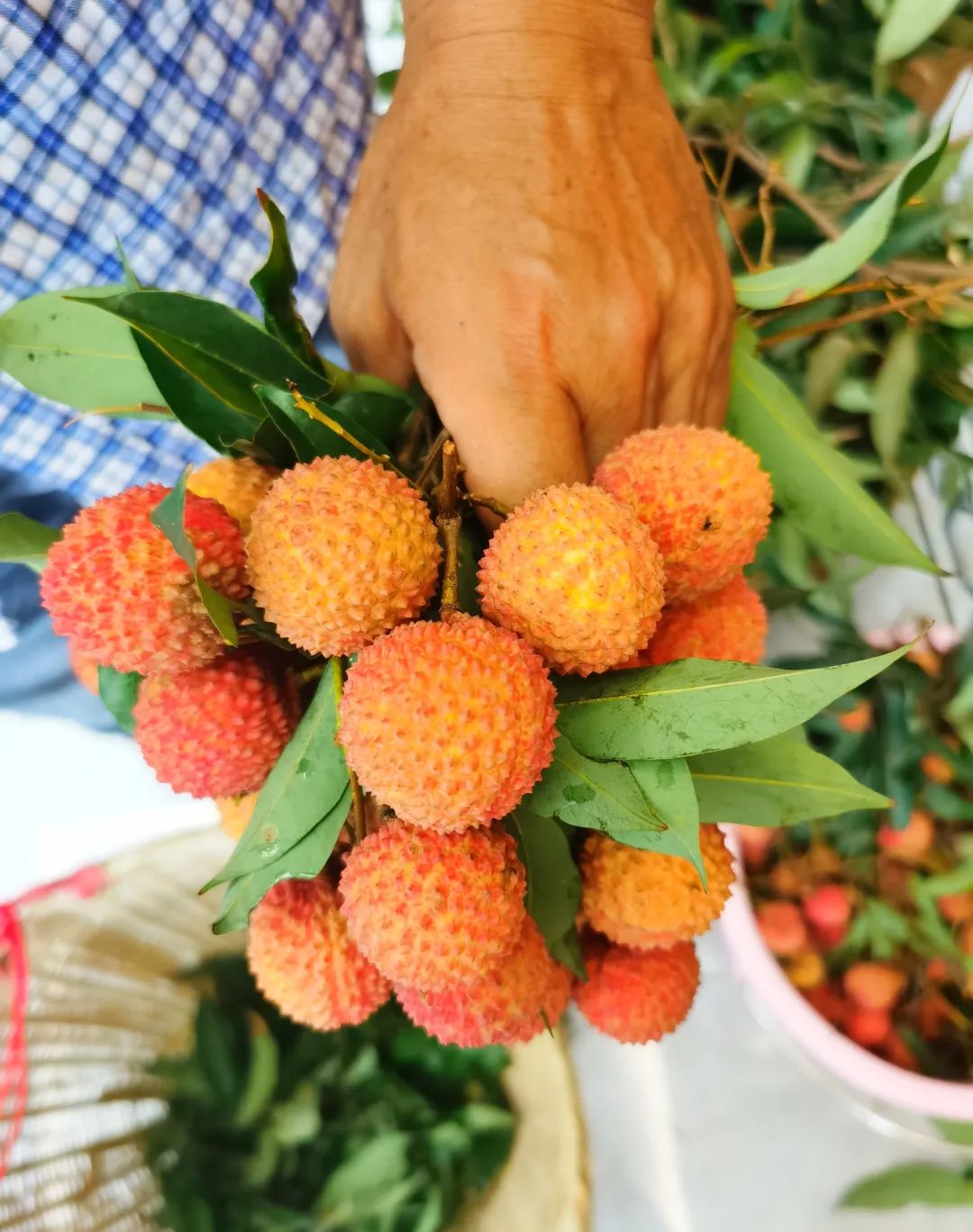 微信图片_20210625144018.jpg 微信图片_20210625144018.jpg