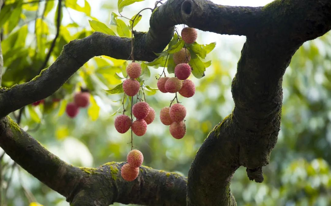 微信图片_20210628095035.jpg 微信图片_20210628095035.jpg