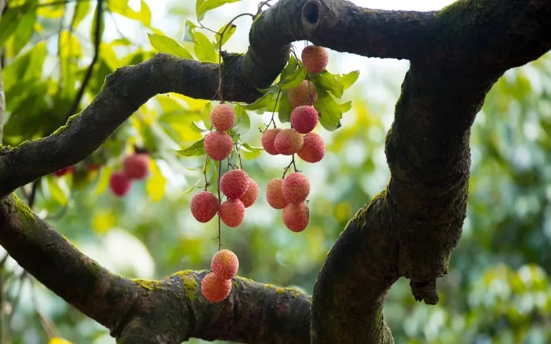 微信图片_20210628100021.jpg 微信图片_20210628100021.jpg