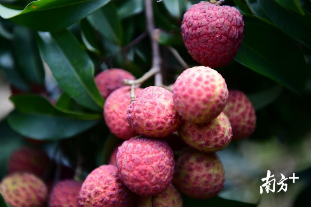 微信图片_20210628100046.png 微信图片_20210628100046.png