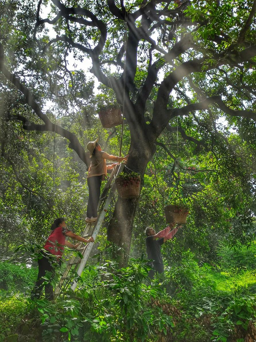 微信图片_20210712151927.jpg 微信图片_20210712151927.jpg