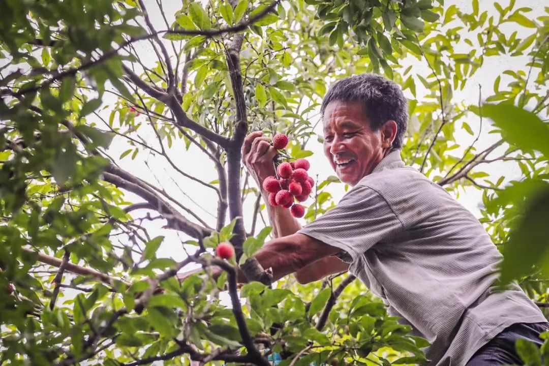 微信图片_20210712151952.jpg 微信图片_20210712151952.jpg