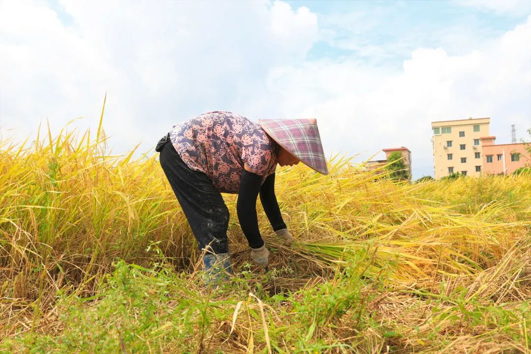 微信图片_20210922102436.jpg 微信图片_20210922102436.jpg